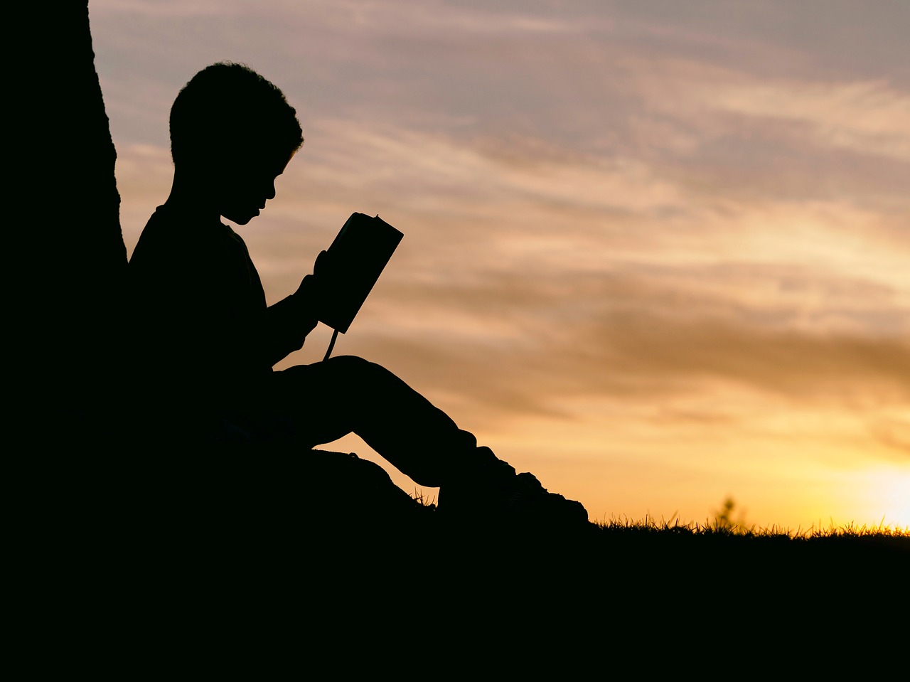 Les éditions rares qui enchantent les collectionneurs de livres